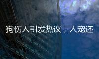 狗伤人引发热议，人宠还能和谐共处吗？