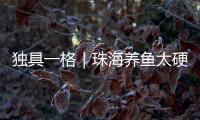独具一格｜珠海养鱼太硬核！CGTN记者直呼Amazing！