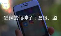 猖獗的假种子
：套包
、盗取、打假