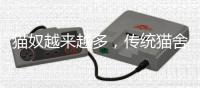 猫奴越来越多，传统猫舍却开不下去了？