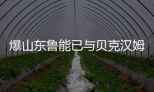 米兰	、爆山贝克18日晚