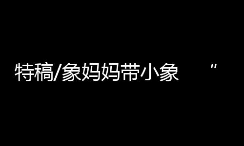 特稿宣传生物多样性保卫