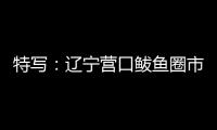 特写
：辽宁营口鲅鱼圈市民以积极心态面对疫情