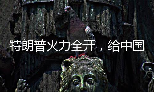 要与特朗普“刚到底”