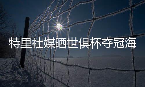 祝贺切尔西名宿、特里