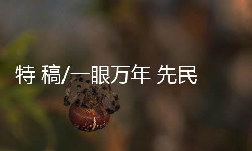 不息考古遗址公园中