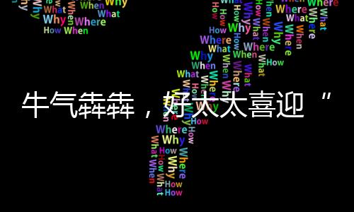 牛气犇犇扫除湿气水汽