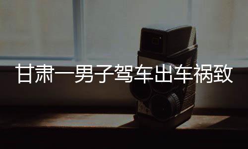 爷爷今年又从房顶摔落