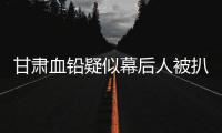 甘肃血铅疑似幕后人被扒，曾获地方女性大奖，与涉事园长关系亲属