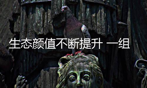 生态基础建设从无到有