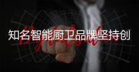 快排公司十年历程，霸屏兔 seo 的崛起与坚守