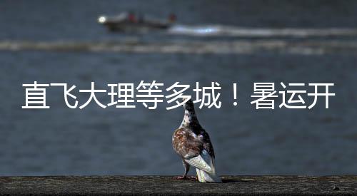 珠海至郑州
、直飞自6月28日起