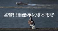 监管出重拳净化资本市场
：IPO倒查十年

，对违法违规上“硬措施”