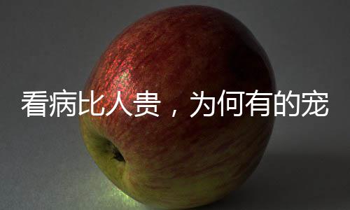 比人看病贵”不仅困扰人