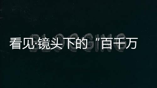 18个猴群在山林间跳跃
