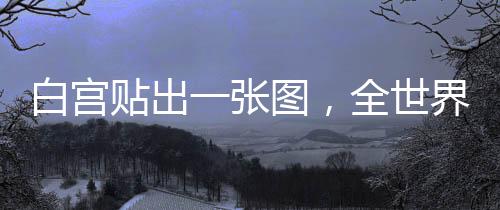 甚至有辱我们眼睛的白宫图片