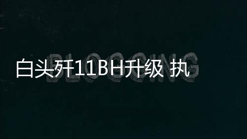 有了有源相控阵雷达
