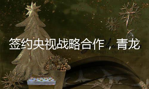 让每栋房子都用上青龙好材料