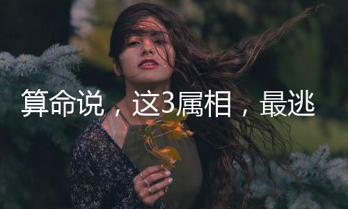 中年的过富属狗人家庭美满