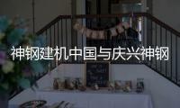 快排公司十年历程，霸屏兔 seo 的崛起与坚守