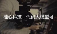 硅心科技：代码大模型可使国有银行开发效率提升30%