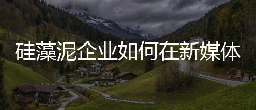 想法吸引粉丝的硅藻注意