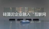 快排公司十年历程，霸屏兔 seo 的崛起与坚守