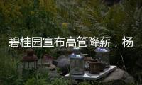 碧桂园宣布高管降薪
，杨惠妍莫斌调整后年薪12万元