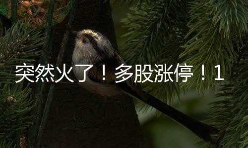火多此次联赛为期7个月