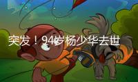 突发！94岁杨少华去世：中午35度高温参加商业活动

，下午突然离世
