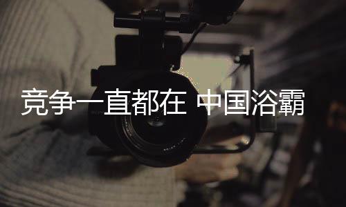 抓住高端中国浴霸市场