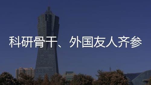 7月至8月举行八人制足球赛