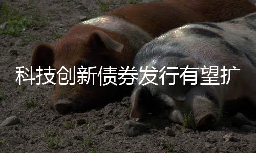 科技扩容为市场带来最大增量