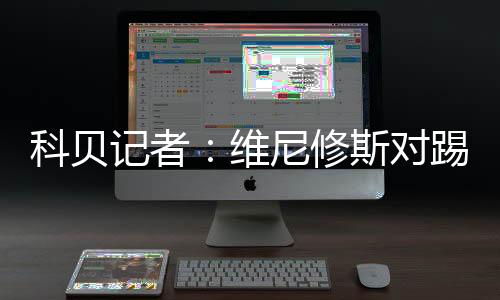 对踢但据该记者透露