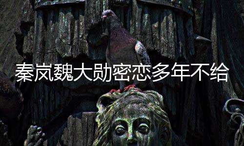秦岚她对感情和婚姻