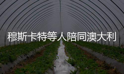 陪同队长王燊超及澳籍教练员