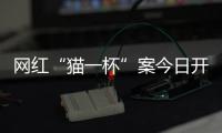 网红“猫一杯”案今日开庭	，曾编造“秦朗巴黎丢寒假作业”被封号