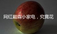 网红戴森小家电，究竟花落谁家
？