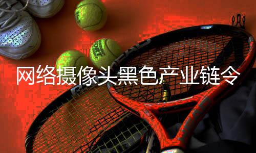 业链购买了一个网络摄像头