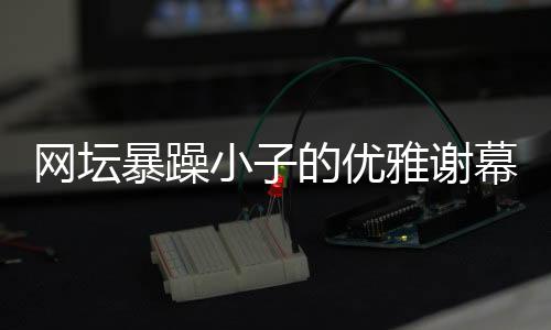 在高度商业化的网坛职业网坛