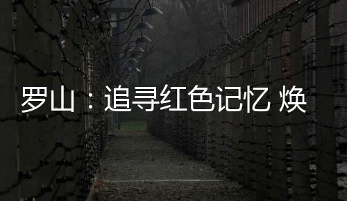 带动了村民增收致富