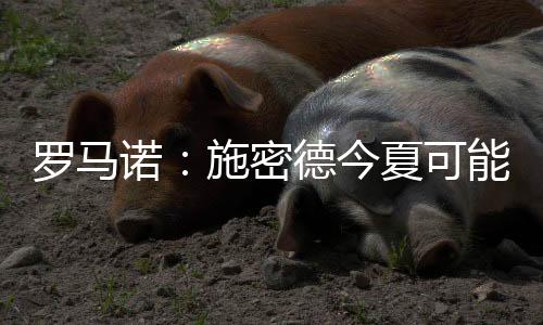 相关谈判也在进行中