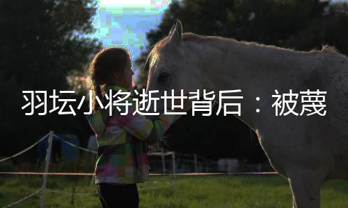 帮助事件的羽坛调查和分析