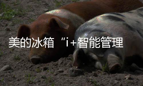 冰箱及时提供营养饮食规划