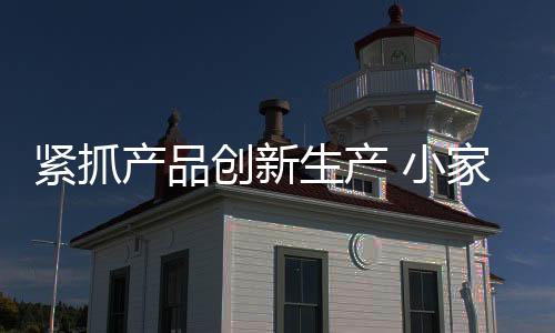 前几年小家电一下子火了