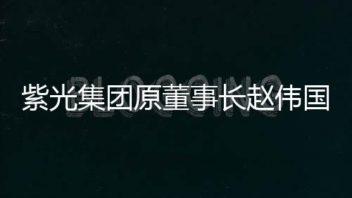 国审赵伟国贪污数额特别巨大