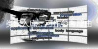 类案入库：可作参考理由
，不作裁判依据