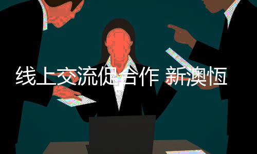 与欧洲客户开展线上交流