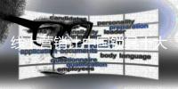 快排公司十年历程，霸屏兔 seo 的崛起与坚守