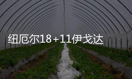 尔伊伍德10分5篮板5盖帽